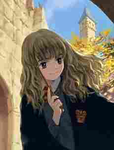 哈利的魔法世界