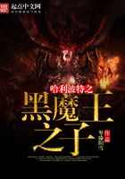 哈利波特之黑魔之子